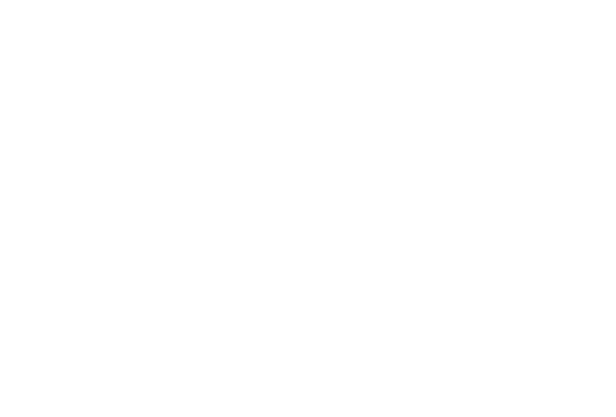 Puro Pizza